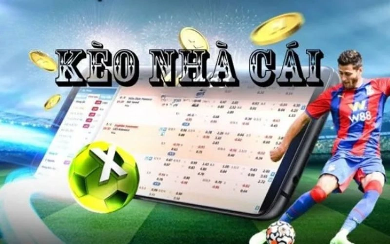 Kèo nhà cái Xin88 được hiểu như thế nào? 